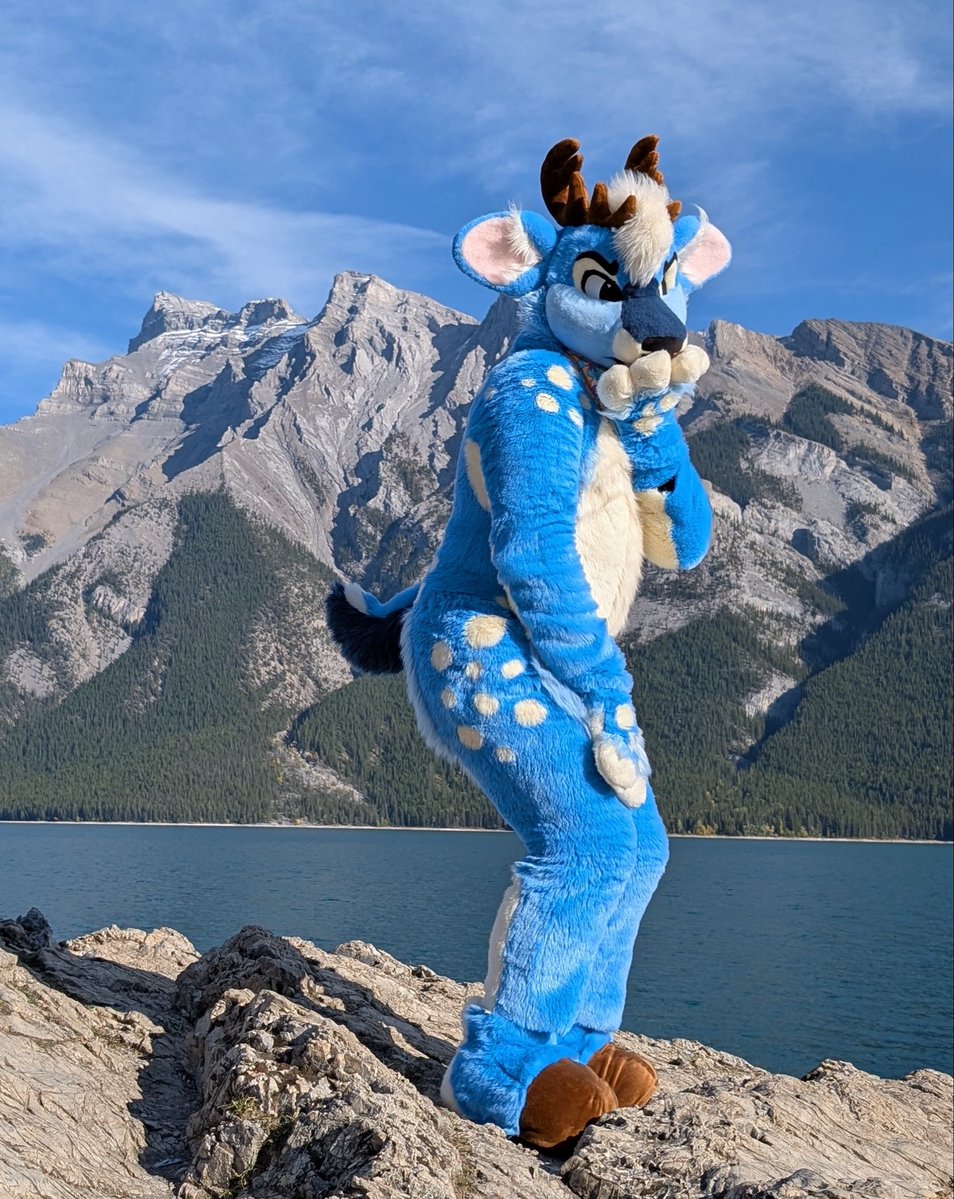 BlueFurryBerry's tweet photo. I was told this weekend that I have one of the biggest butts ever. I don’t see it. https://t.co/z6b6PrqN0I