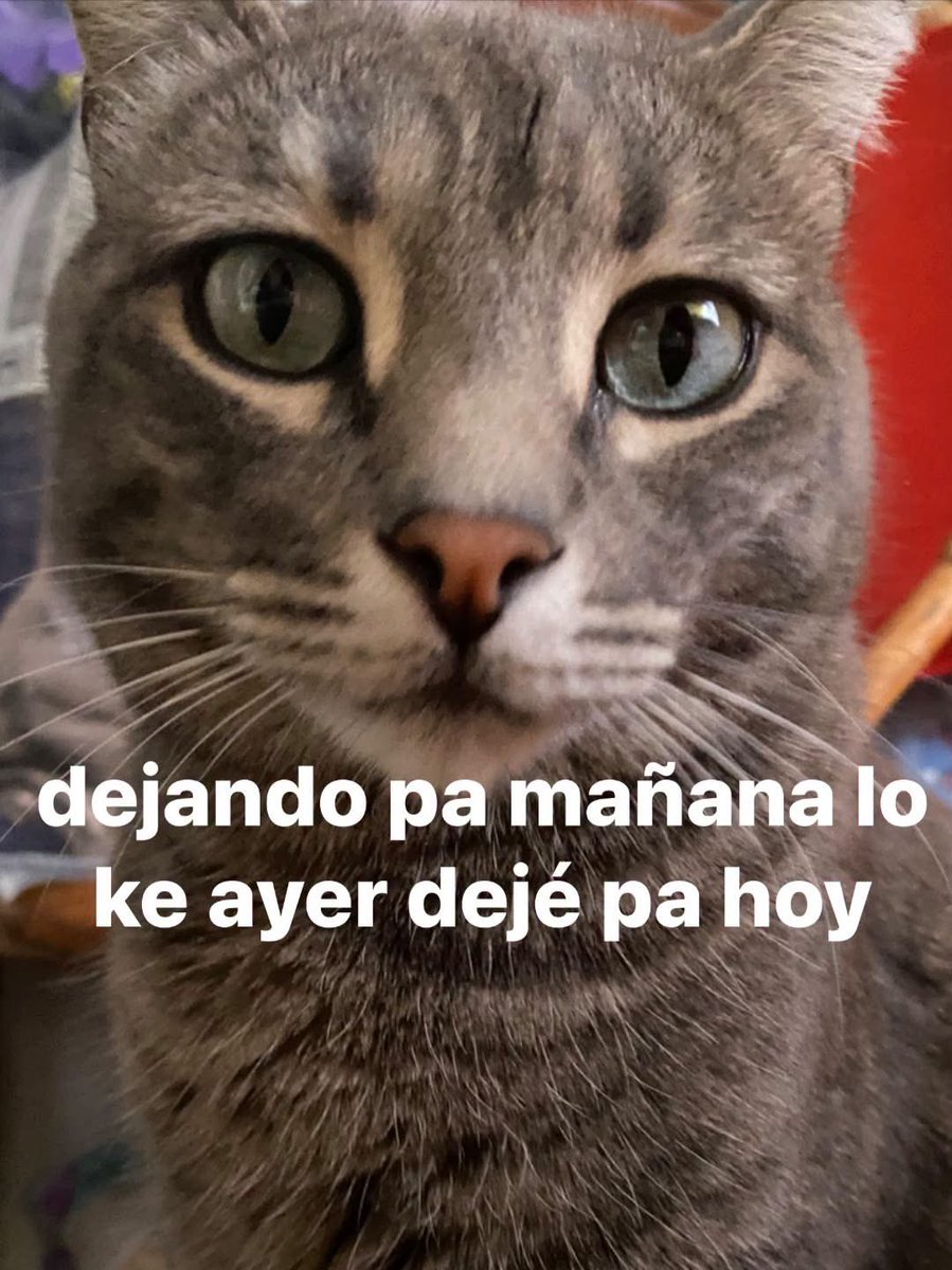 ElJeringasLoko's tweet photo. https://t.co/muC0u4LlXe