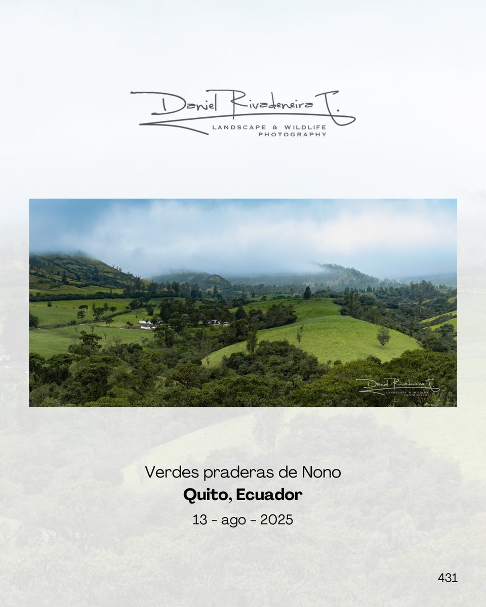 DRivaT90's tweet photo. 431. Verdes praderas de Nono
Quito, Ecuador 🇪🇨
-
-
-
#Ecuador
#Canon
#Landscape
#PhotographyIsArt
#ThisIsNotAI https://t.co/vMZ4bfk6Tg