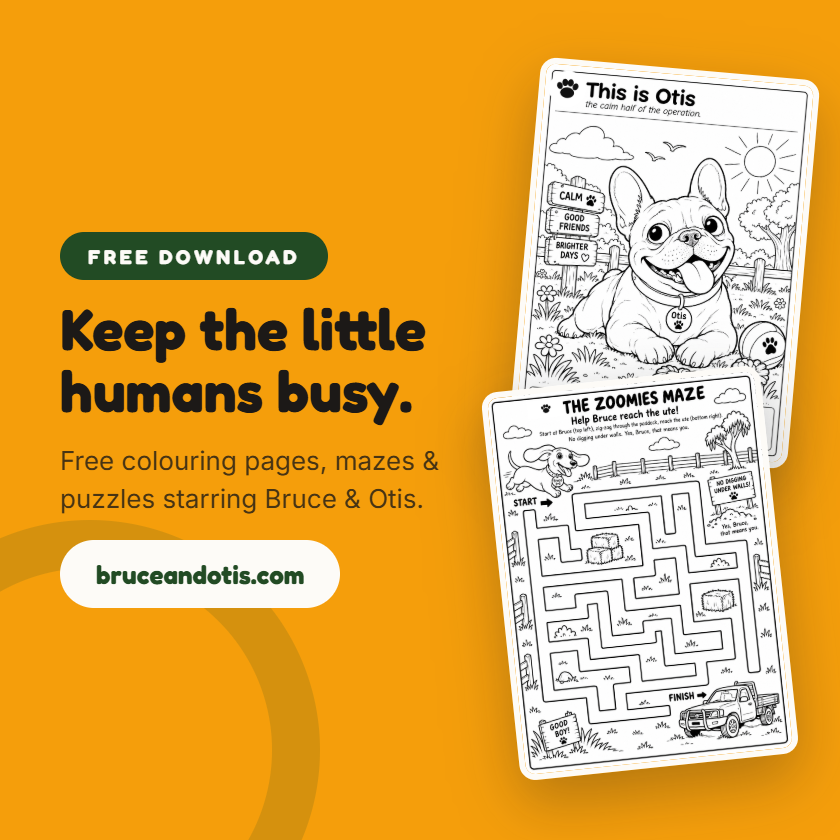 BruceOtis_'s tweet photo. Grab the FREE Bruce &amp; Otis Activity Pack with colouring pages, mazes and puzzles for kids. 🐾 https://t.co/09QP88rjUS https://t.co/zSpvP8Zq0d