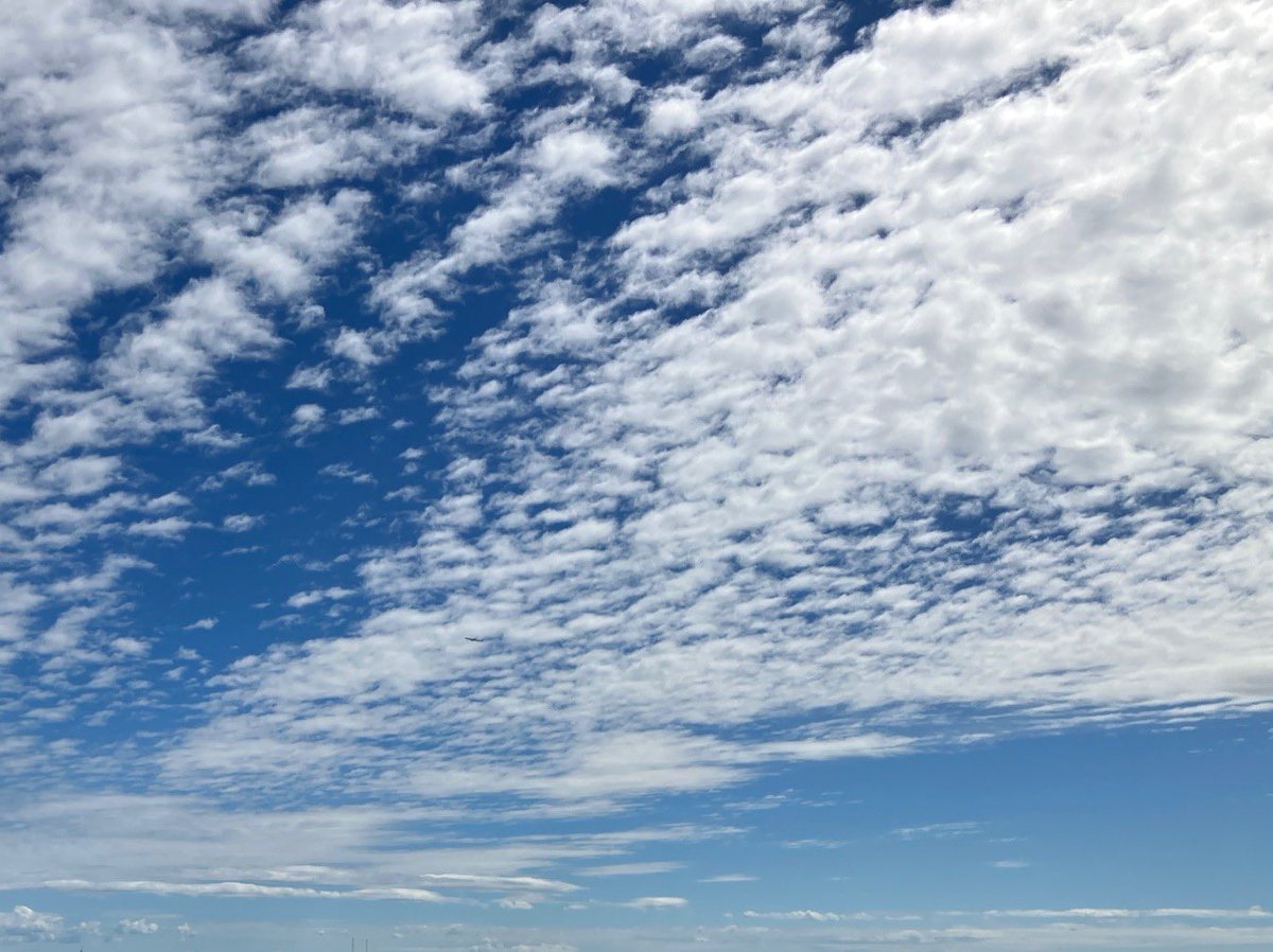 CocoronoSupport's tweet photo. 【日照不足を解消しましょう】

本当に青空って気持ちが良いですね！

健康のために、食事、睡眠、運動に加えて、
これからは、
「日光をもっと意識しましょう！」
#日照 #青空 #健康 https://t.co/08Vlhxp9l6
