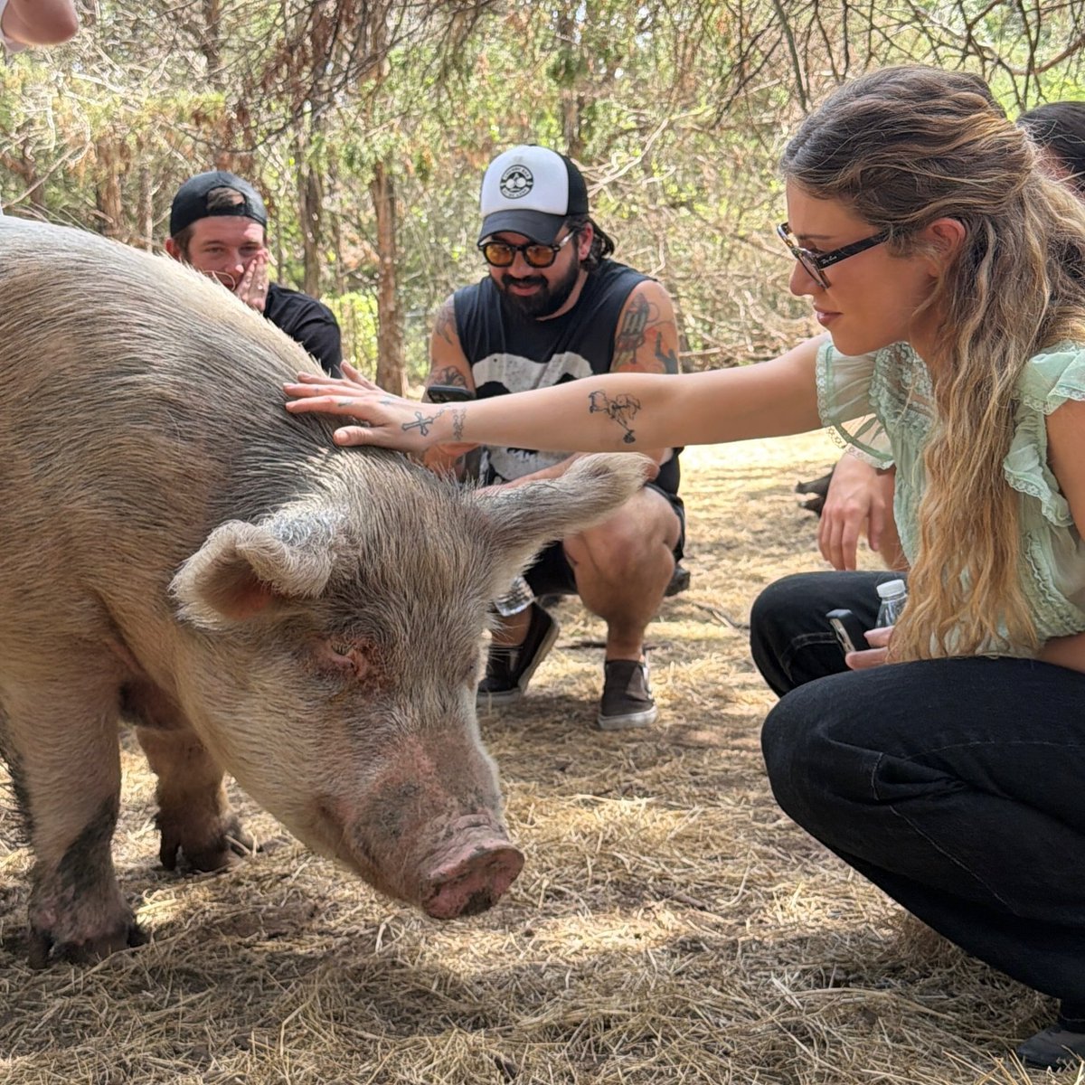 slayyyterarg's tweet photo. Slayyyter visited Central Texas Pig Rescue in Austin for her birthday, where she met the sanctuary's pigs. 🐷 https://t.co/6nmqaVovmv