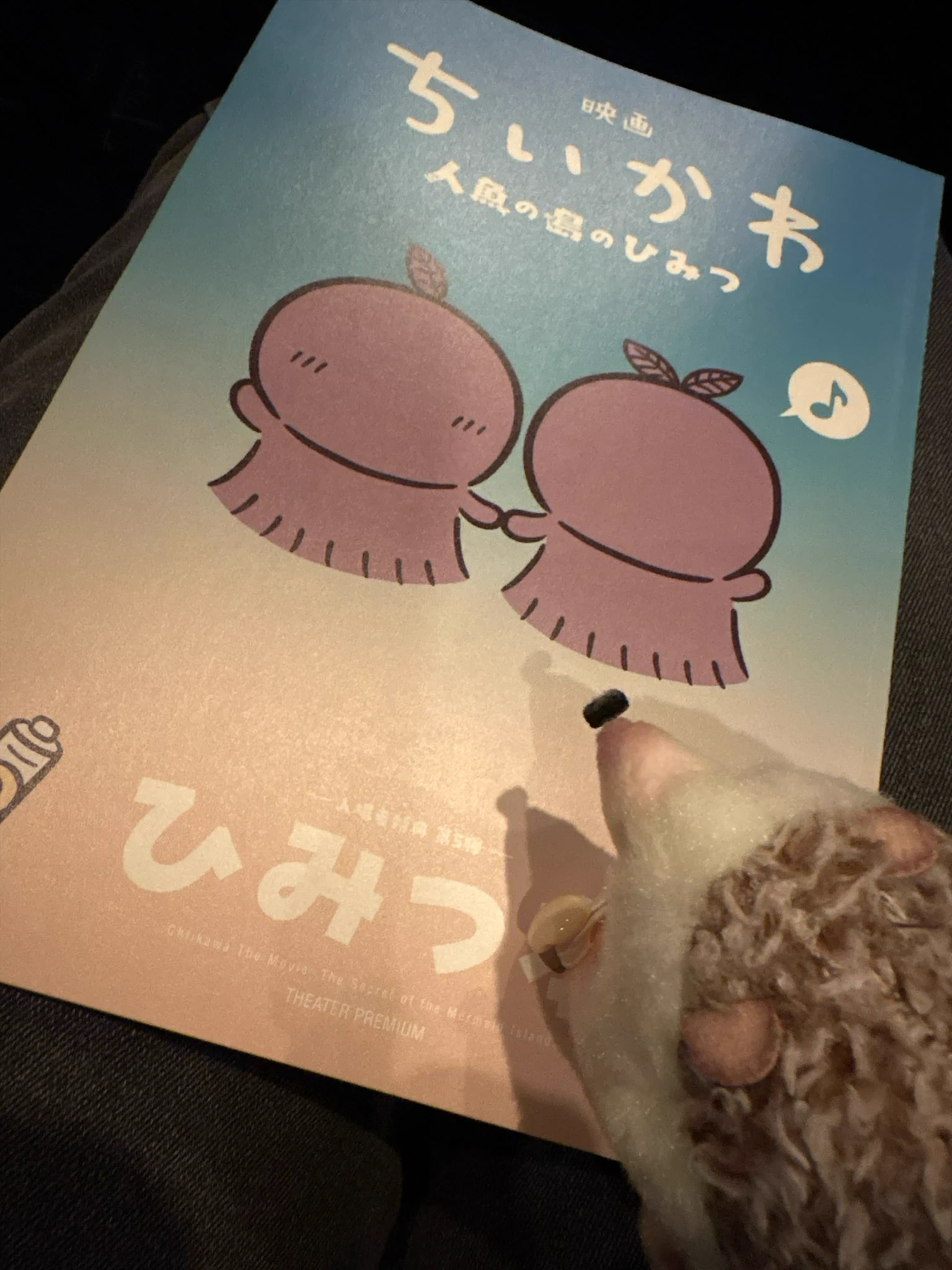 たろう on X: 