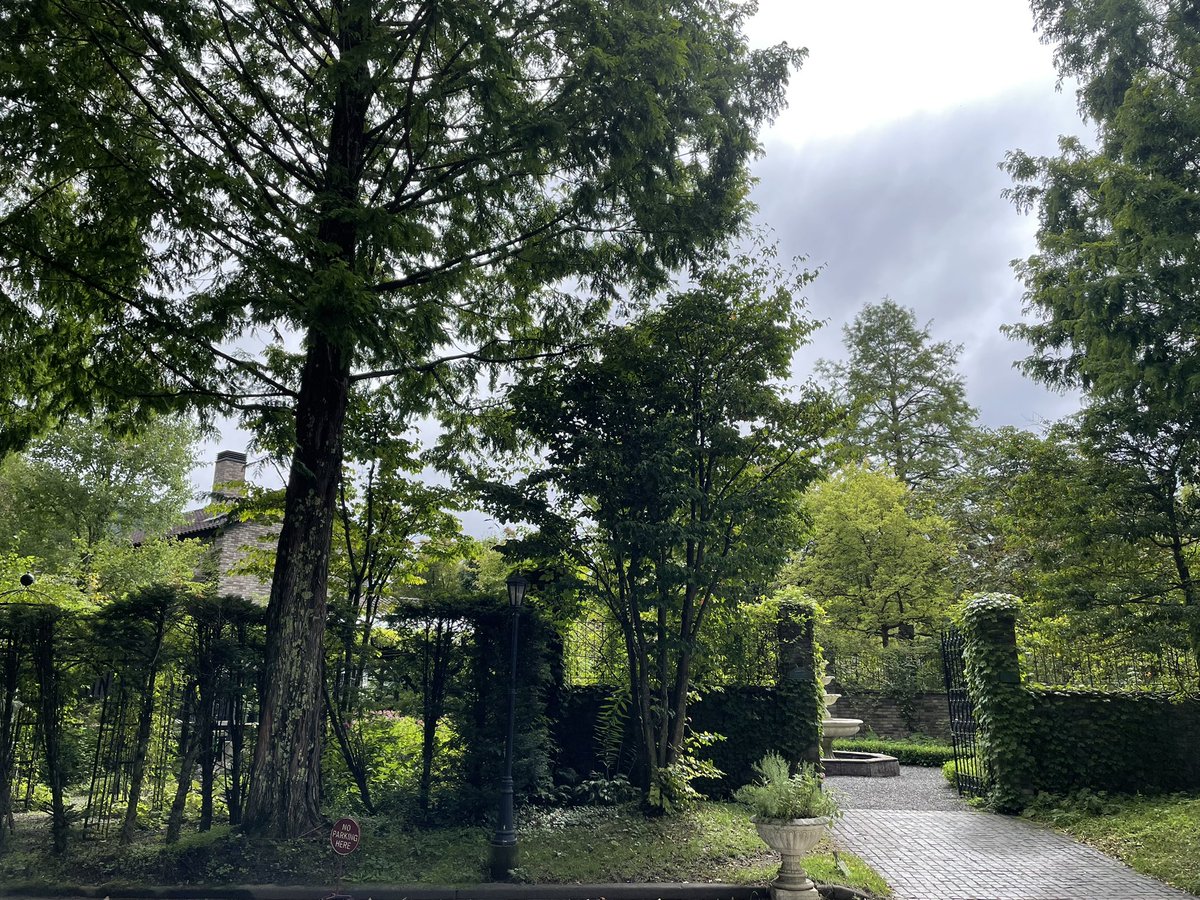B_is_my_Sign's tweet photo. #台風一過🌀

#軽井沢 

#軽井沢レイクガーデン を散策〜🚶

ホッとする空間 🍀 https://t.co/3pLlw2uitK