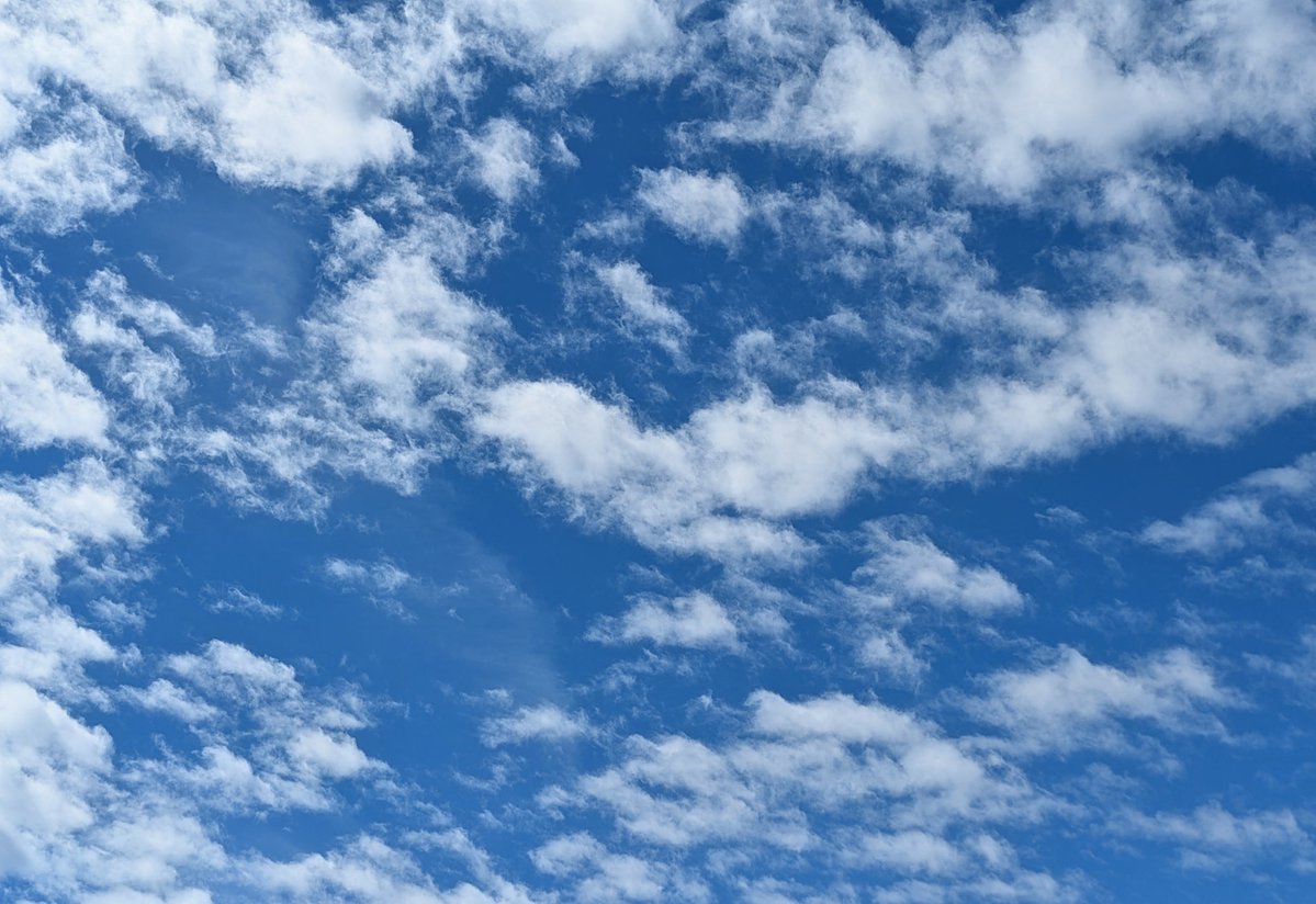 soraran222's tweet photo. 気持ち良く晴れましたね☀
風はすっかり秋
過ごしやすくなりました https://t.co/pHA7TGoYia