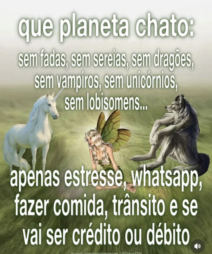 shitpostverdade's tweet photo. https://t.co/KYOtuKbz4R