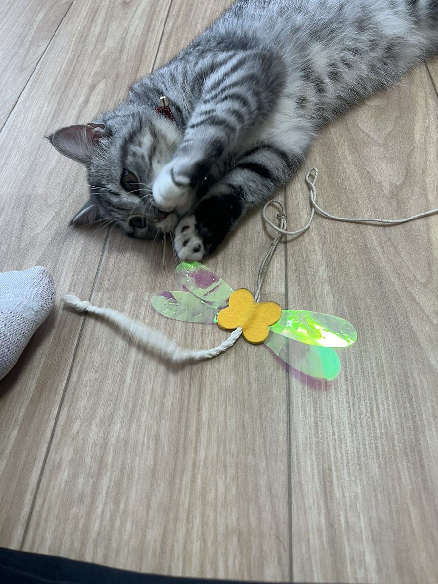 dede___nkk's tweet photo. はーーーーん https://t.co/d7ZS6aauQ7