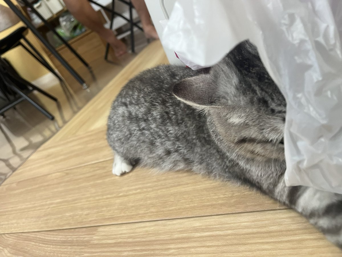 dede___nkk's tweet photo. はーーーーん https://t.co/d7ZS6aauQ7