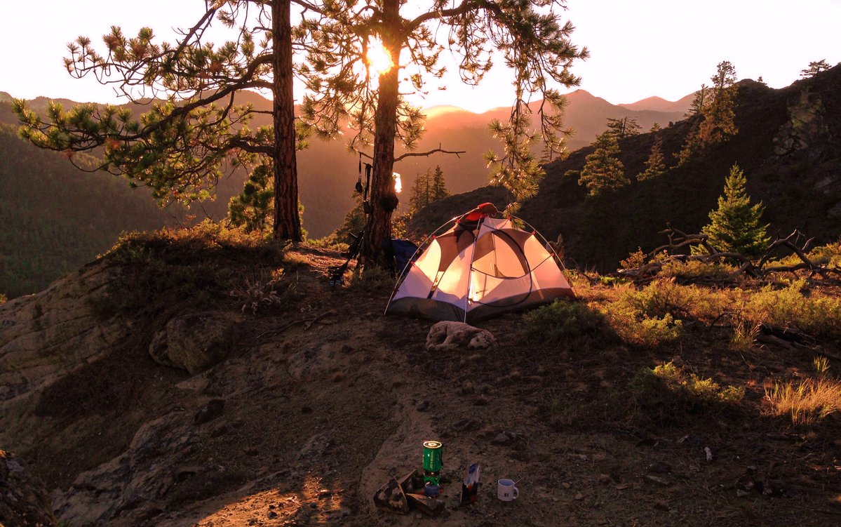 DesihMaulana's tweet photo. Just woke up to crisp mountain air and birds chirping from our tent—this cozy solo camping reset is exactly what I needed to hit pause and breathe deep.  #CampingVibes #NatureTherapy https://t.co/K9uCtvVDg3
