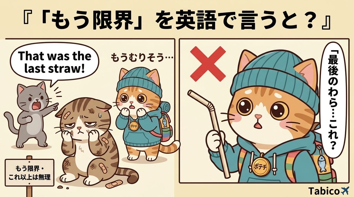 tabico_eigo's tweet photo. "That was the last straw."

直訳すると
最後のわらだった。

でも実際は

「もう限界」
「これ以上は無理」

小さなことが積み重なって
とうとう爆発したとき。

Follow for daily English tips 🐱✈️
#英語学習 #英会話 #英語 #ポテチさん https://t.co/thsBNK6EUk