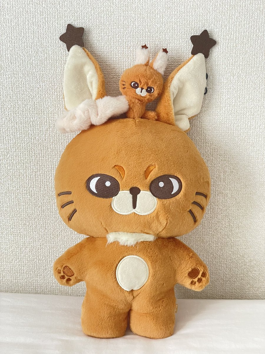 CHE656037's tweet photo. 冬毛のｶﾙﾁｬﾝは今おっきいｶﾙﾁｬﾝにくっついています https://t.co/h40tfxqnsJ