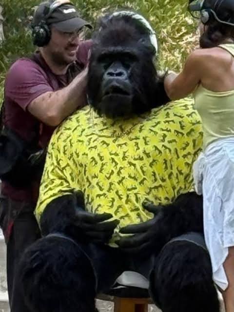 DCEUMX's tweet photo. The People v. Gorilla Grodd aparentemente es 'increíble', y la trama y cantidad de personajes y cameos que veremos va a servir para sentar las bases a otros héroes y villanos de DC. https://t.co/YCzczF3Efi
