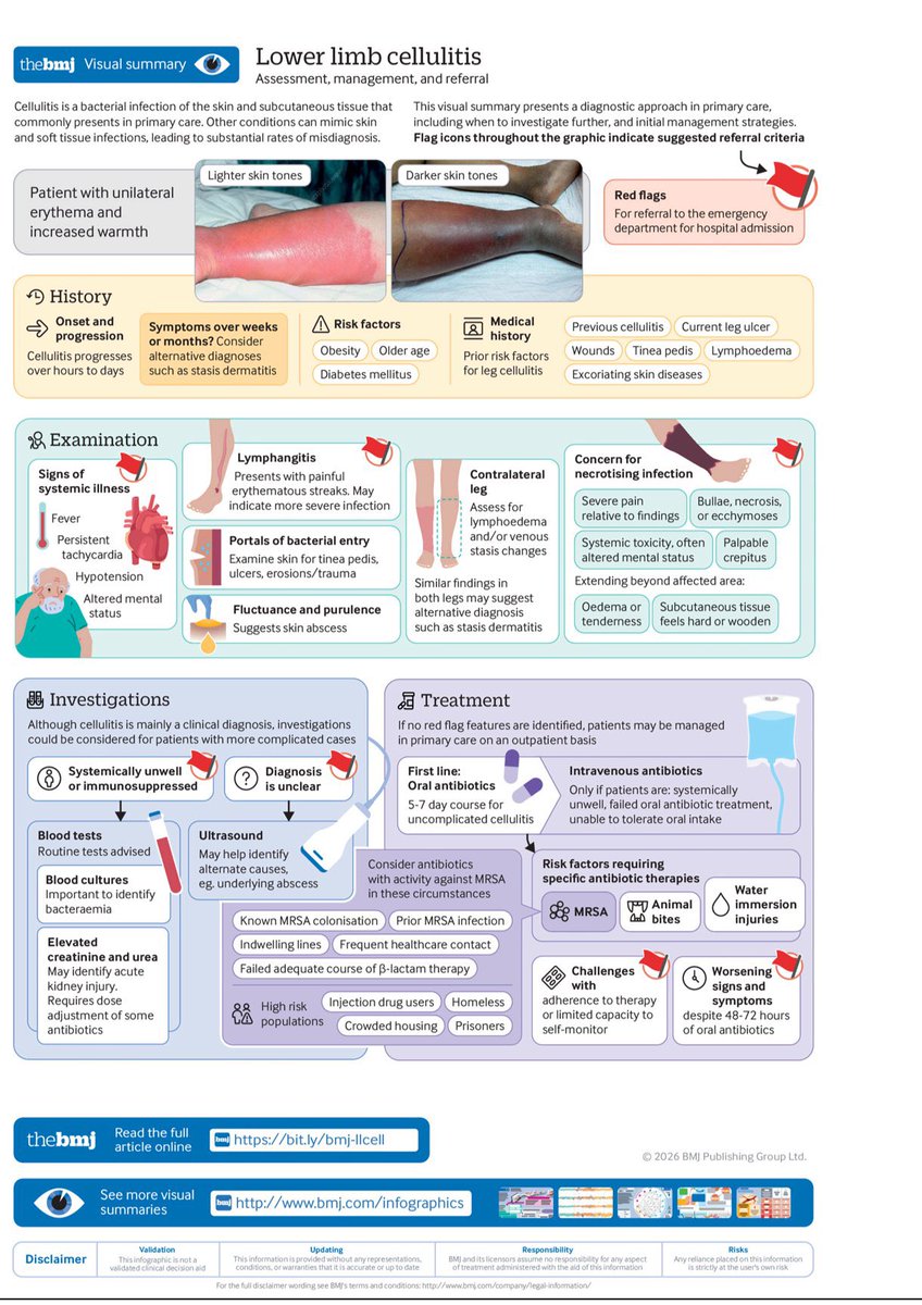 infeccHRUmalaga's tweet photo. En @bmj_latest enfoque PRÁCTICO sobre #celulitis en miembro inferior🔴🦵🏻, INCLUYE:
🕵🏻Aproximación diagnóstica
🤔Diagnóstico diferencial
💉💊Tratamiento
🚨Datos de gravedad/urgncia
Además de una gran #infografia!🖼️👇🏻y “qué necesitas saber”📝
🔗https://t.co/s1lKWVzNSi https://t.co/cilZCw6eHV
