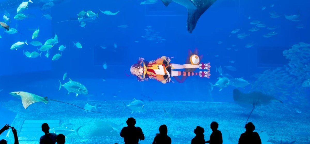 MobulaReii's tweet photo. beautiful fish creature 𓈒𓏸𓆡 https://t.co/IEzgAiMmJI