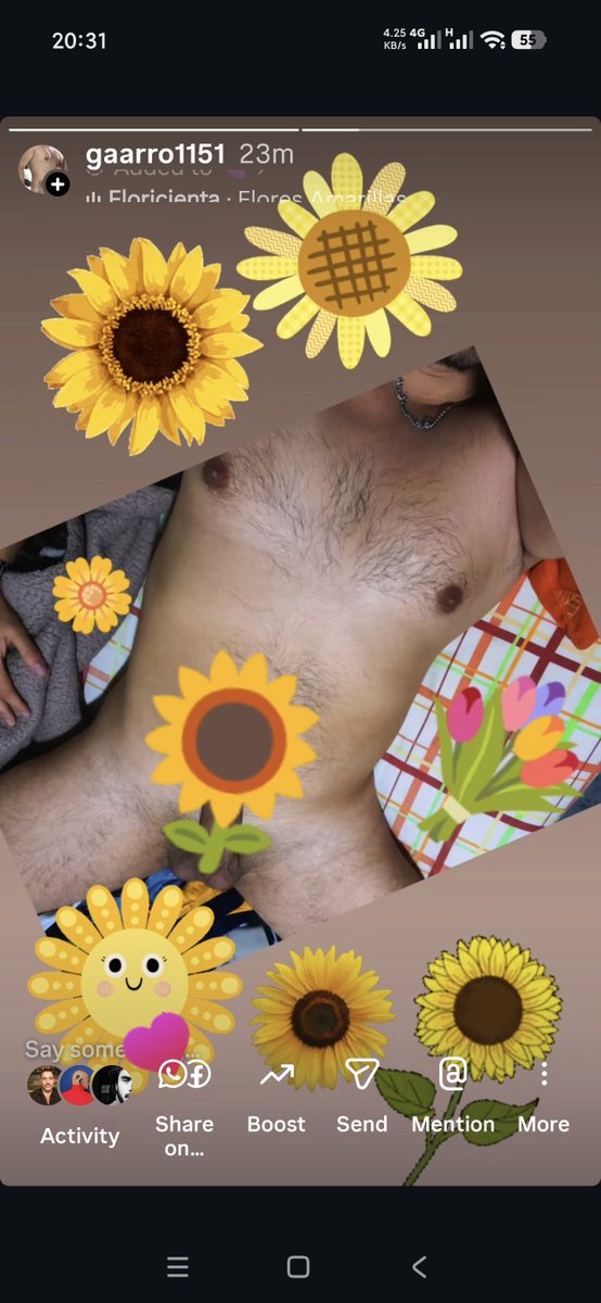 Gerusmn's tweet photo. Flores amarillas https://t.co/UoGDyzre2T