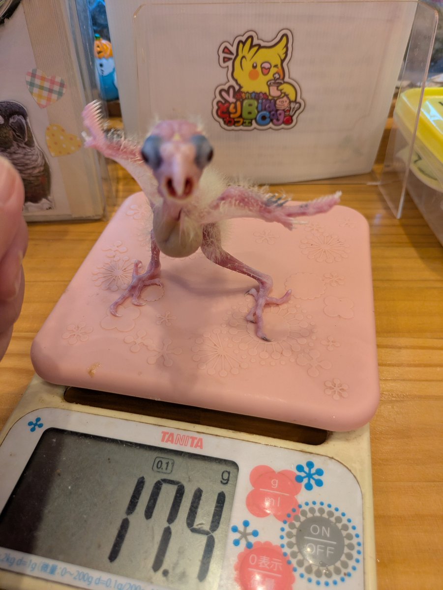 leetasun tweet picture