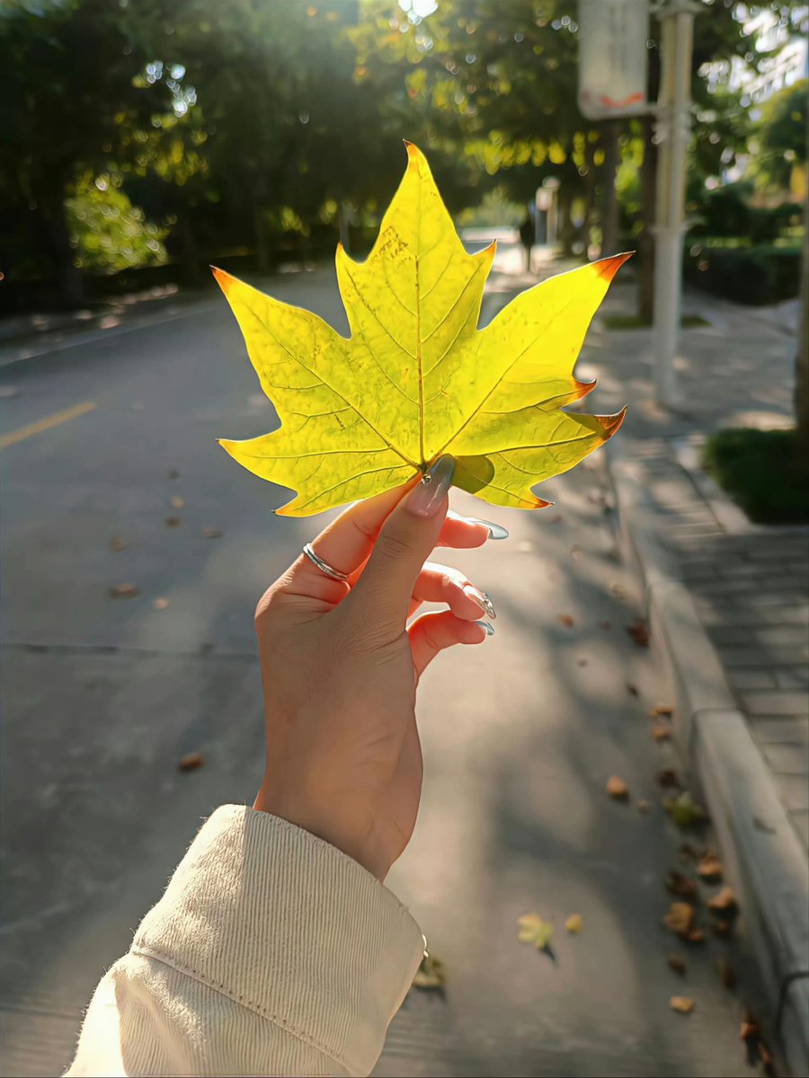 MiloCompanrrw's tweet photo. ふとした瞬間の機微に気づける人でありたい。それも才能なのかな。 🍂 https://t.co/8ximvCB16N