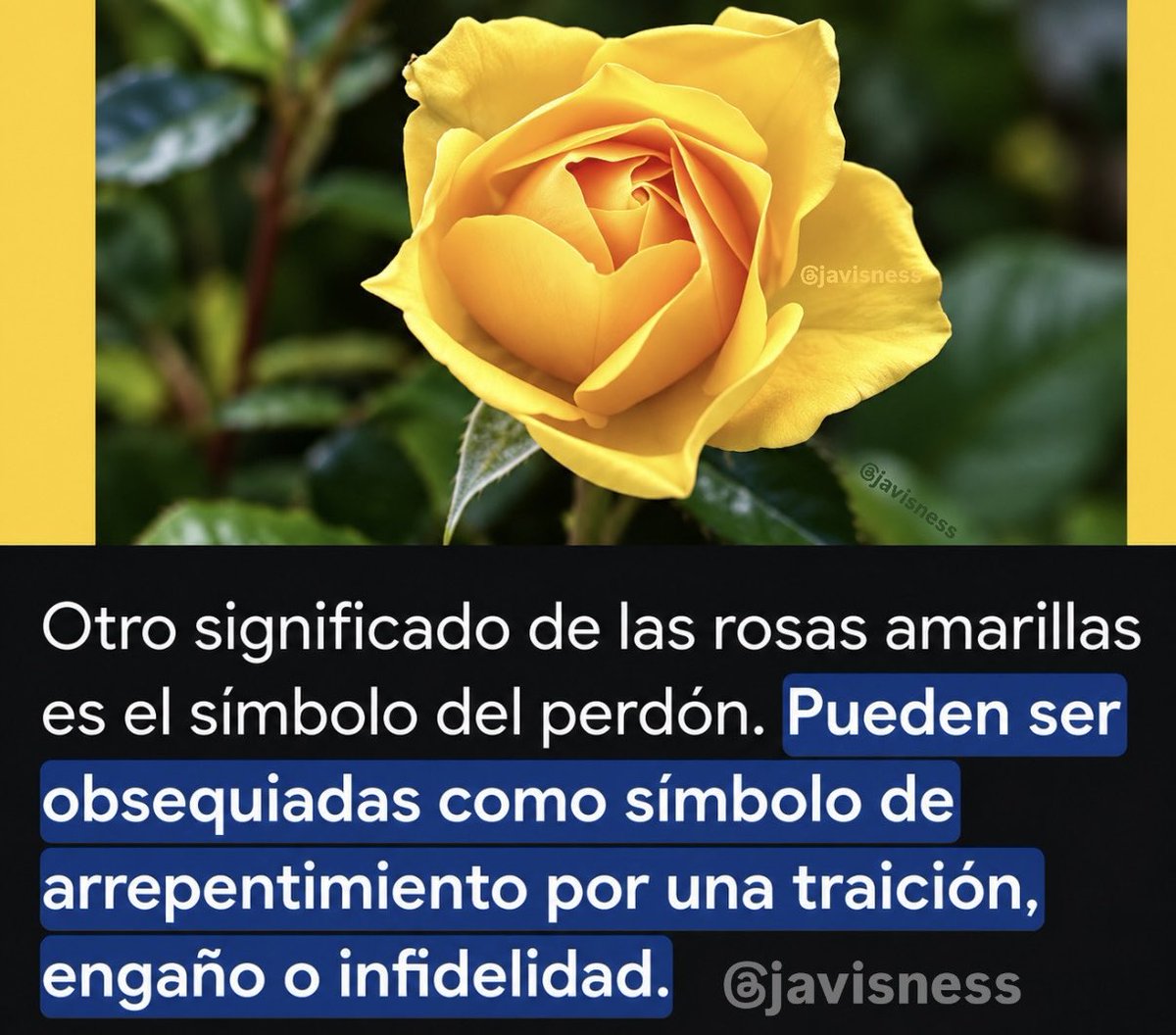 sofiaorozcom2's tweet photo. @luisgalvanp qpasoamiguito https://t.co/BgFWjKiKdi