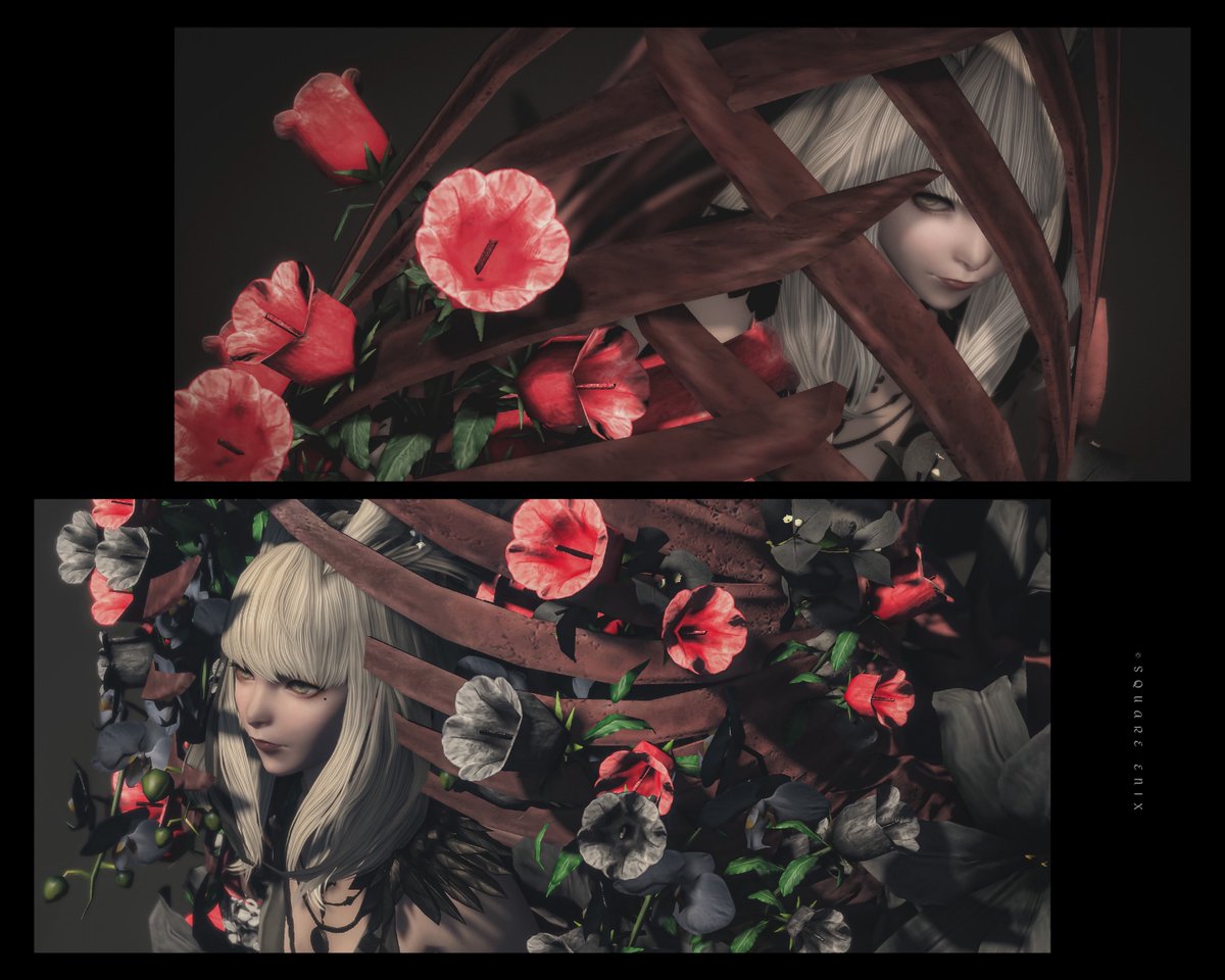 spina_oeo's tweet photo. 「 檻 」
#AtelierAgeco https://t.co/6xKKPP2pLR