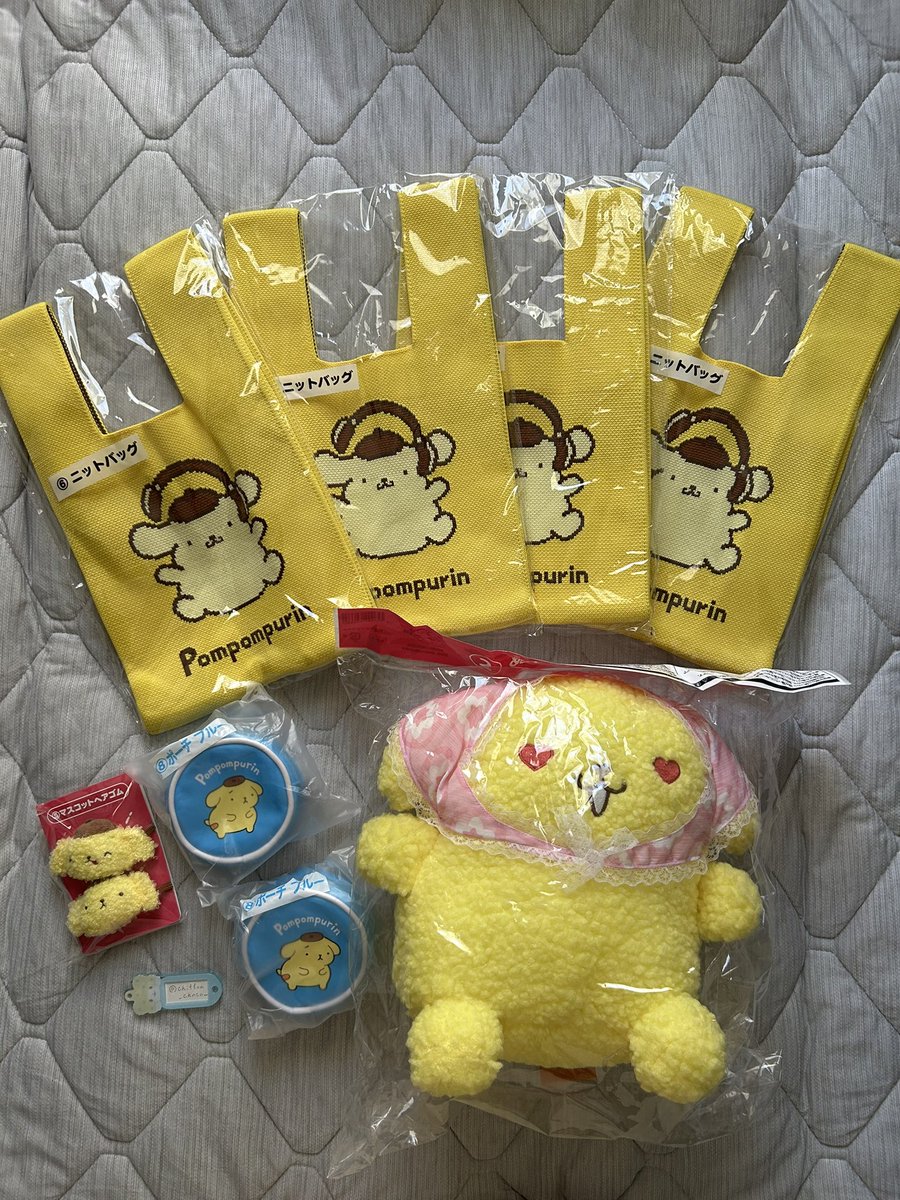 chiffon_choco_'s tweet photo. 【交換】サンリオ ポムポムプリン 当たりくじ

譲　②ぬいぐるみB　⑤マスコットヘアゴム　⑥ニットバッグ×4　⑧ポーチ（ブルー）×2

求　①③のぬいぐるみいずれか1つ>⑦ポーチ（ピンク）　⑩マグカップ（ブルー）　⑫フェイスタオル（イエロー）　⑬ファイルケース>④カチューシャ

↓リプに続く https://t.co/vNzOYVuMmA
