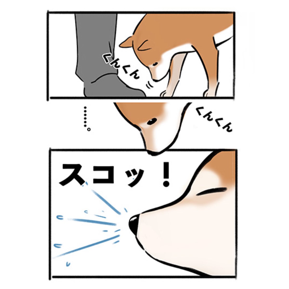 shibamidoo's tweet photo. 不要な情報…？😂 https://t.co/rKJI52tOOy