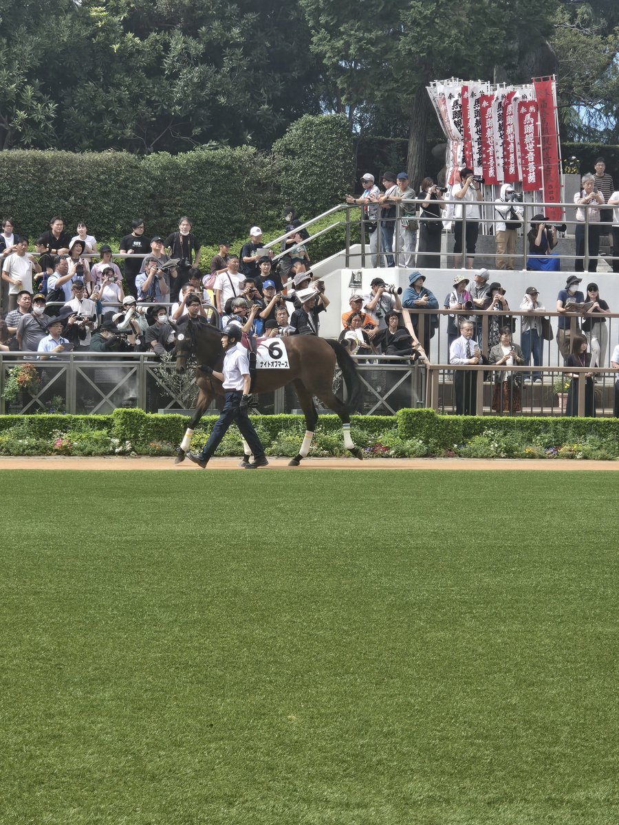 7078Ku's tweet photo. ナイトオブマース登場🐴 https://t.co/mM9C4jz88p
