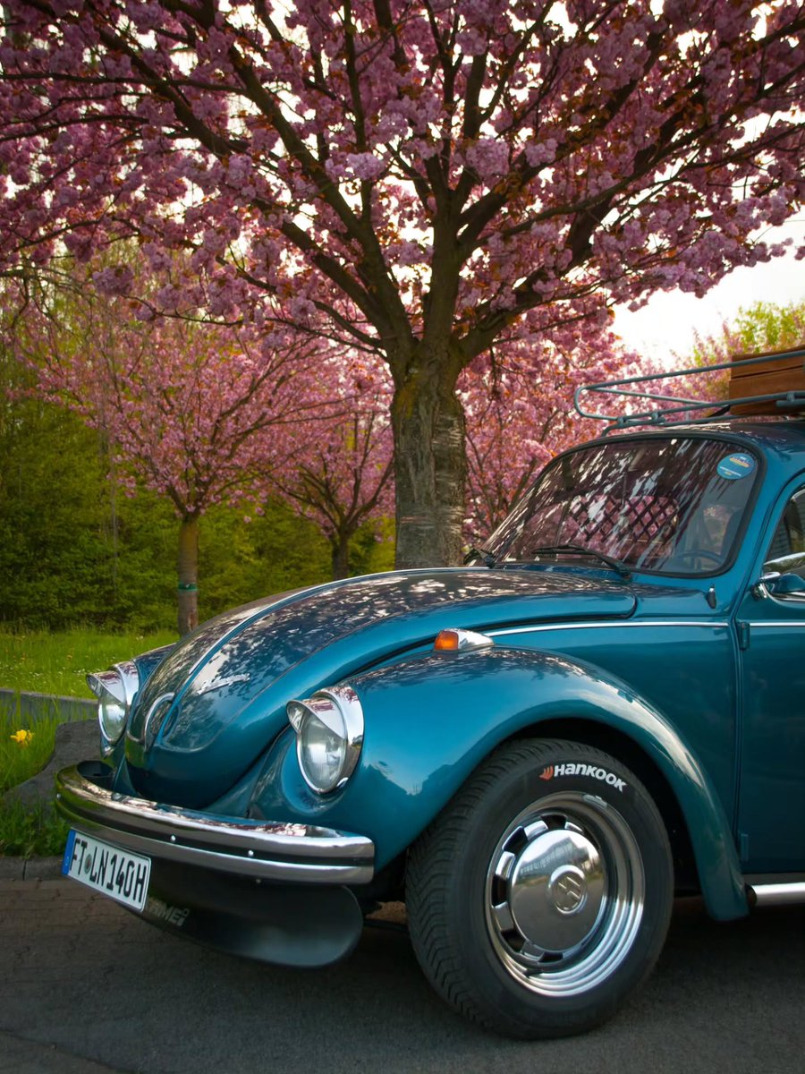 DariusFloeny's tweet photo. VW Beetle

If you’d like to see more of my photography, feel free to subscribe or click the link in my bio! https://t.co/72CnBpHadT