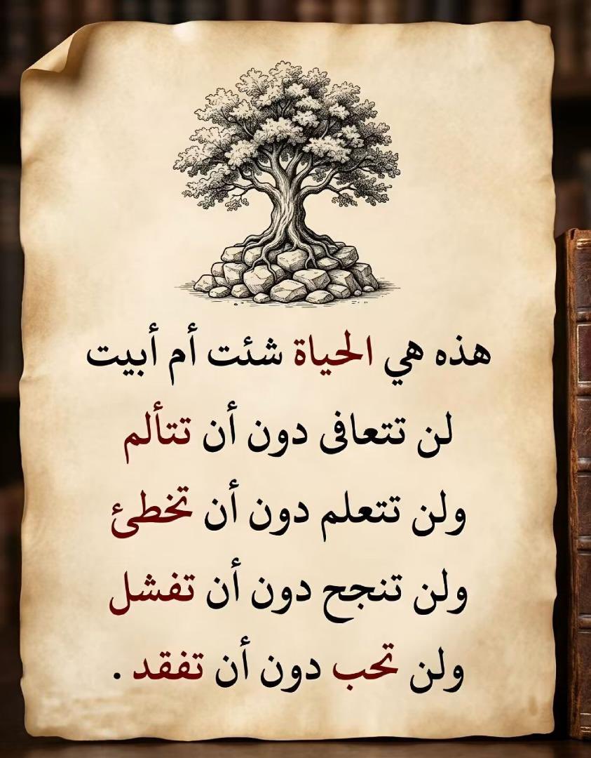 fzh43's tweet photo. هذه هي الدنيا 🤍 https://t.co/EZMlSUrL9f