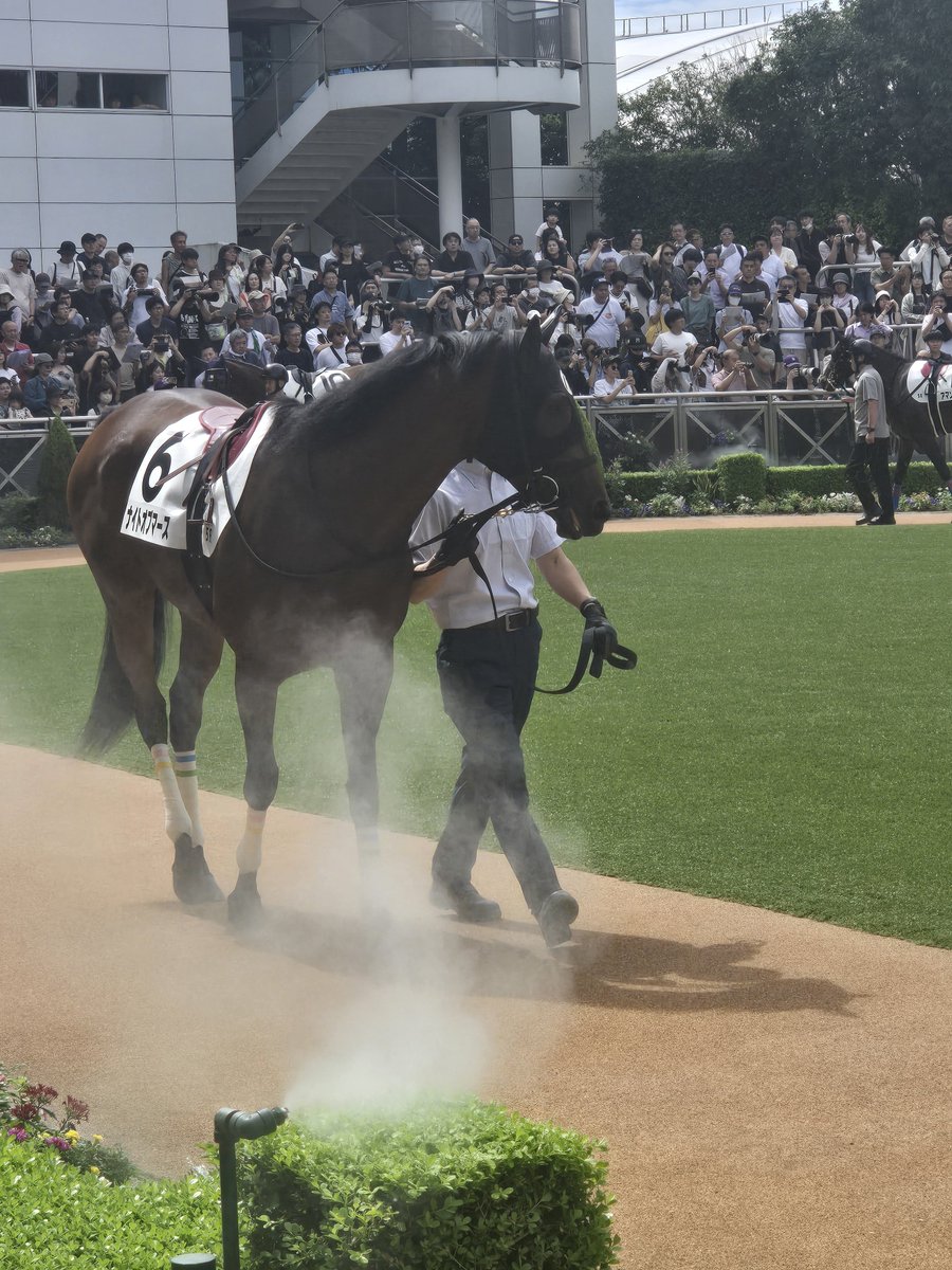 7078Ku's tweet photo. ナイトオブマース登場🐴 https://t.co/mM9C4jz88p