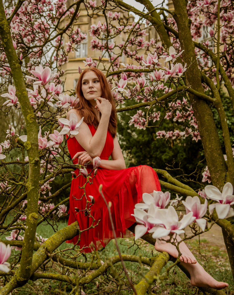 alfredoglez3's tweet photo. Kwiecień to czas kwitnących drzew, w tym pięknej magnolii. Magnolie są chyba najbardziej romantycznymi drzewami i stanowią piękną scenerię do każdej sesji zdjęciowej. Kwitnąca magnolia to idealne tło do sesji dla par, na plener ślubny czy sesję https://t.co/koZxbhymWo
