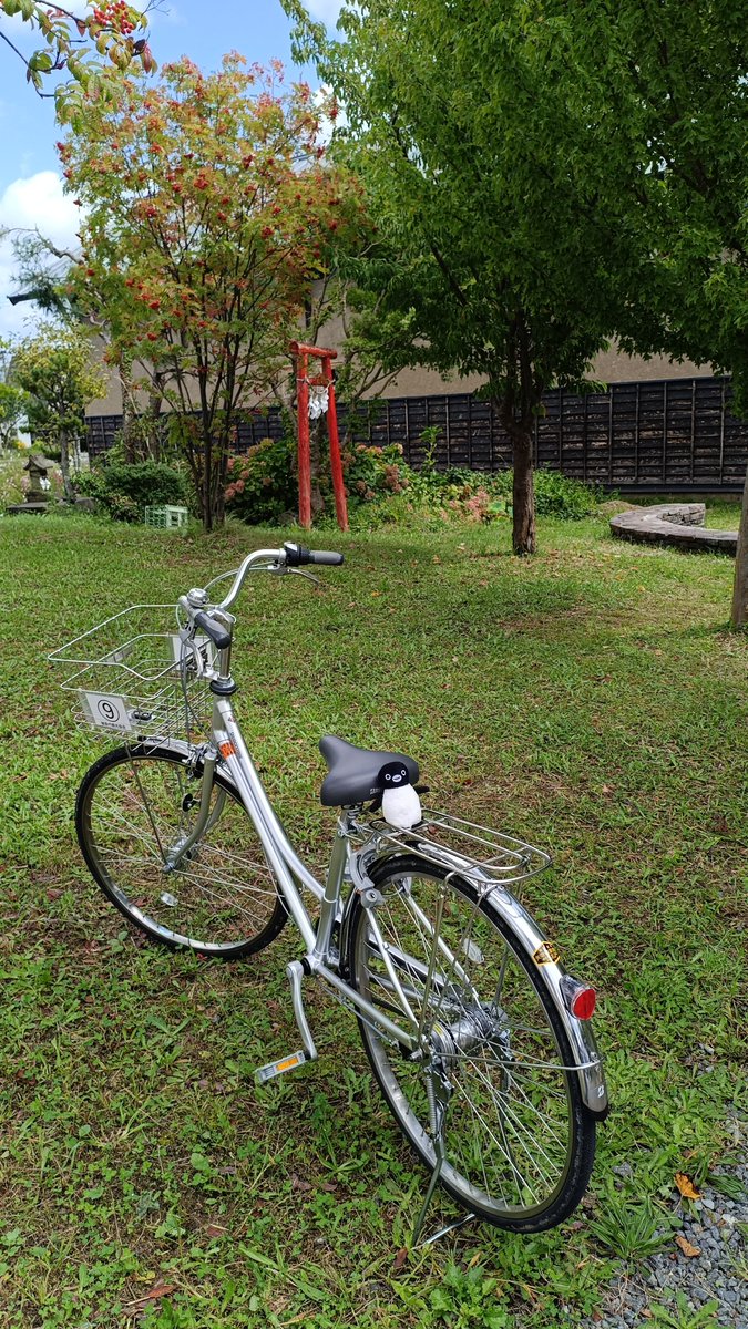 taronaomama's tweet photo. #SeptemberJAM 
満喫しております
🚲
これさえあれば👍 https://t.co/I3QkoCcKsD