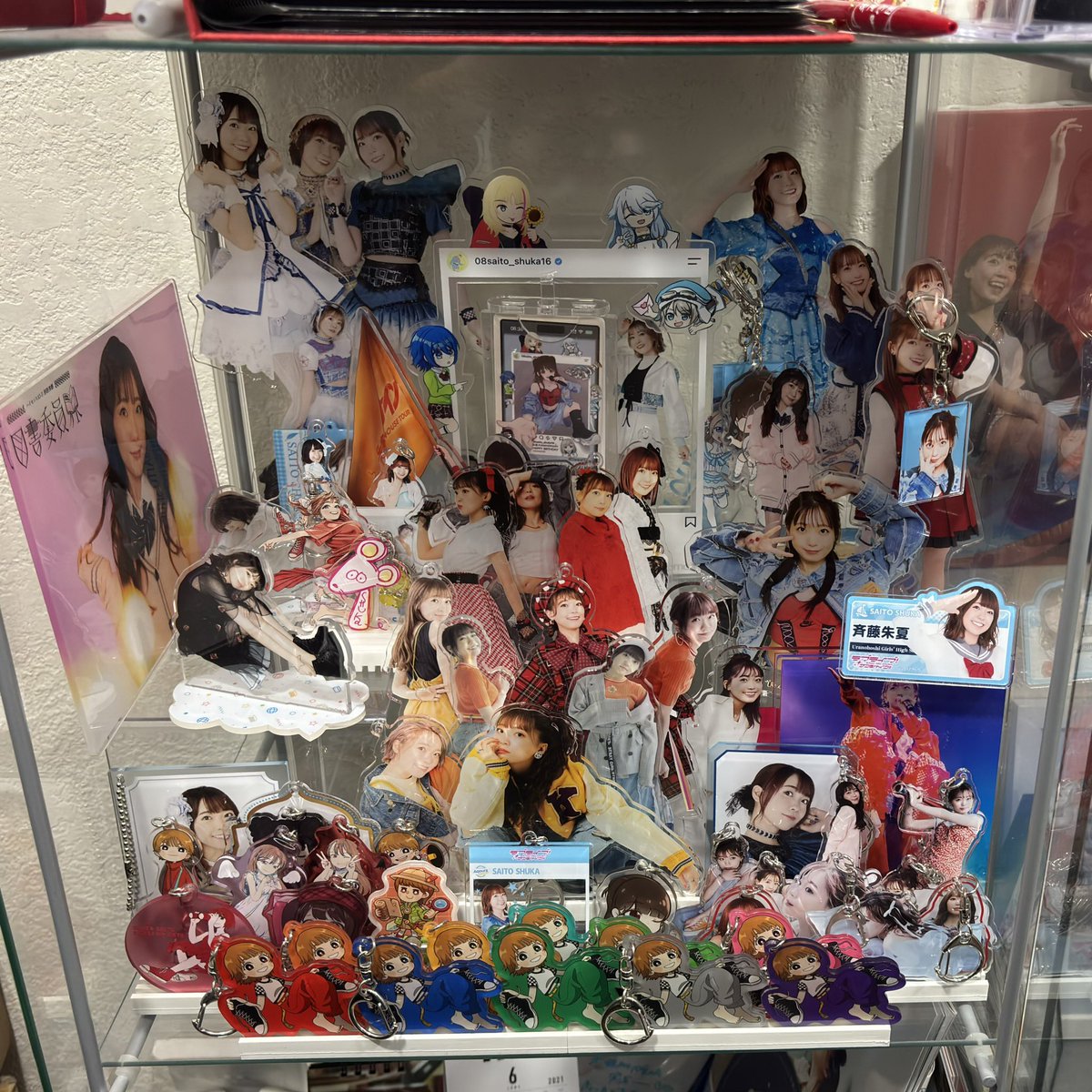 Orcha__'s tweet photo. 今年のしゅかコレクションの更新🤟 https://t.co/Dn96BabEGq