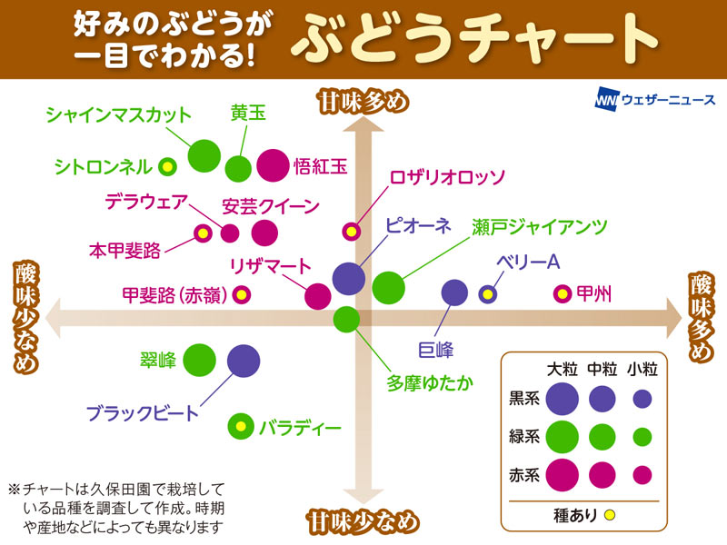 wni_jp's tweet photo. 【🍇ぶどうチャート】
シャインマスカットや巨峰、ピオーネなど、ぶどうは品種によって甘味や酸味、粒の大きさ、香りなど個性がさまざま。甘味と酸味のバランスを軸に、人気品種から珍しい品種まで、それぞれの特徴をチャートでご紹介します。
https://t.co/jKm0nWOCHa https://t.co/6gpsOiuYau