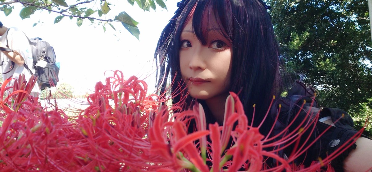 6aoao2to5's tweet photo. いもーとちゃんの家の横にある彼岸花で撮影。
ガチガチな、地元(笑) https://t.co/6Y50vNa9iW