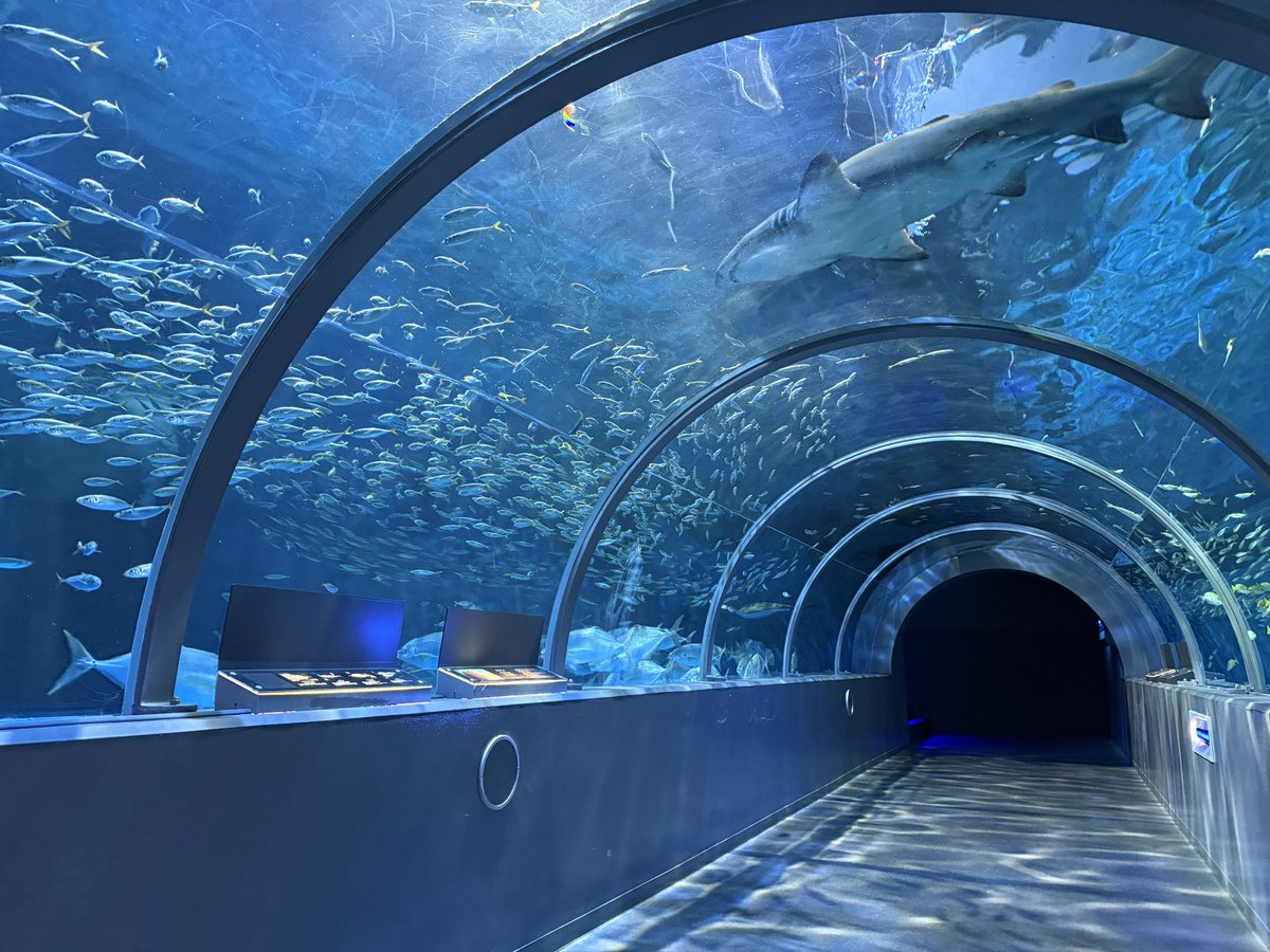 shimanose's tweet photo. 登別マリンパークニクス🐠 https://t.co/C5Z5rL4hDc