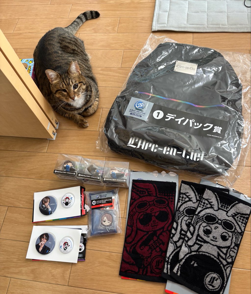 usausa777pyon's tweet photo. けんちゃんのタオルとねむりんこ狙いだったのにけんちゃん以外のねむりんこ当たって1番いらんと思ってたデイパック当たっちまった😂けんちゃんタオルと缶バはうれしい😻💕5回の予定だったのにおかしいな？？ https://t.co/QmGHN0pKEw