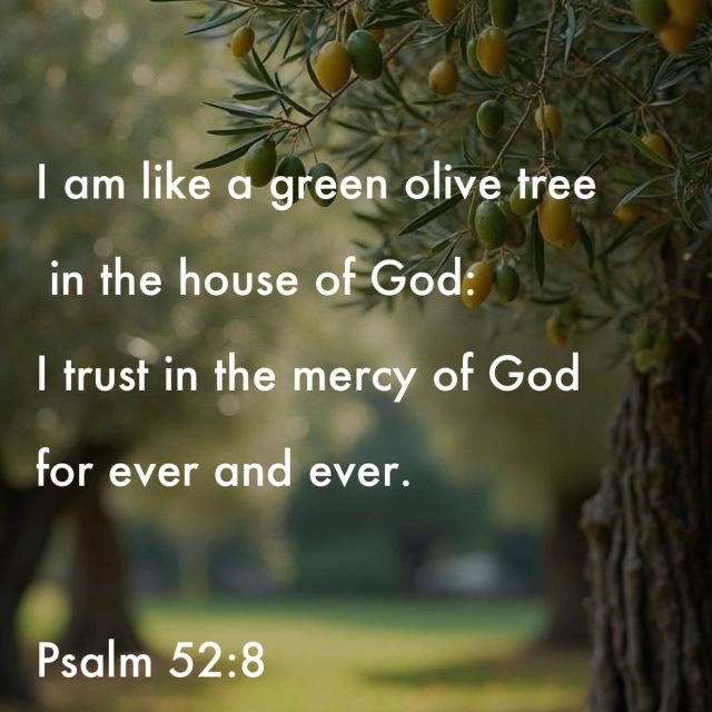 SamuelV_JM's tweet photo. #ReadTheBible #JesusSaves #JesusIsComingSoon #Manna #DailyManna #dailyverse #wordofGod #Jesus #JesusNeverFails #HolyBible #Bible #psalm https://t.co/oGeWe8yJ22