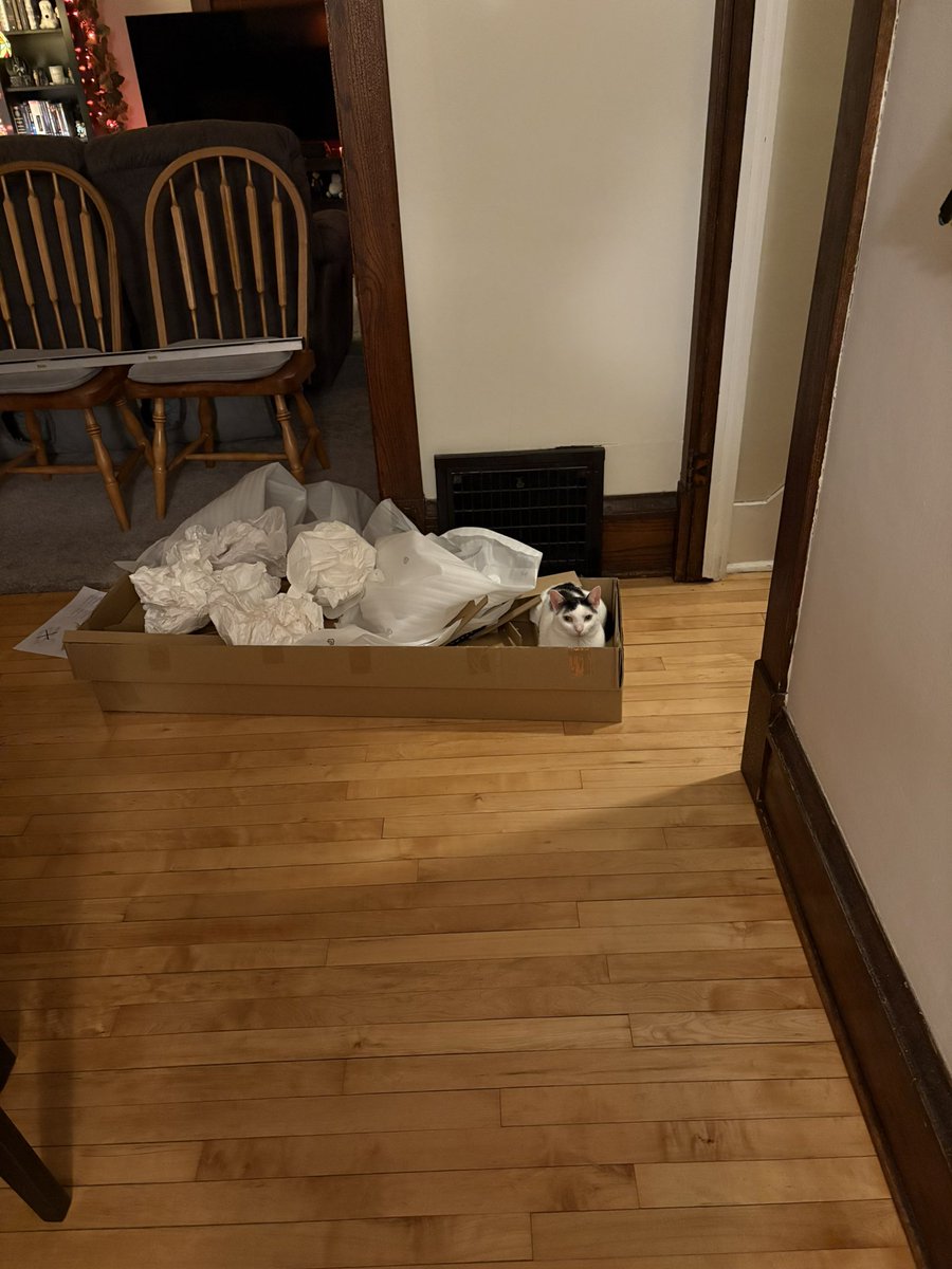 Seekachu's tweet photo. got a new dining table and bench and in typical cat fashion, he likes the box https://t.co/KlpljxIQ96