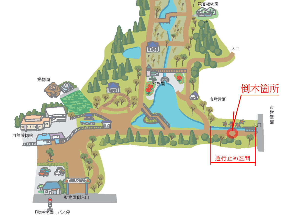 ichikawa_zoo's tweet photo. 【倒木による通行禁止区間】
昨日の台風25号の影響により倒木がありましたため、
大町公園東側（市営霊園側 犬猫慰霊碑付近)からの入園はできません。
復旧時期は未定となります。ご注意ください。

#市川市動植物園 https://t.co/YhwYfVl5O0