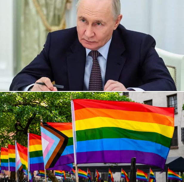 RedDiversidad's tweet photo. Régimen de Putin sanciona a Booking y Tik Tok por permitir visibilidad LGBT en el marco de una nueva oleada de ataques a la libertad. Hilo. https://t.co/cByvYLBJ3A
