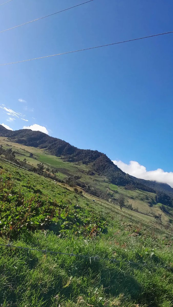 Kamayof72's tweet photo. #naturelover ✨️🌲🌥✨️ https://t.co/IOY5rdSnfI