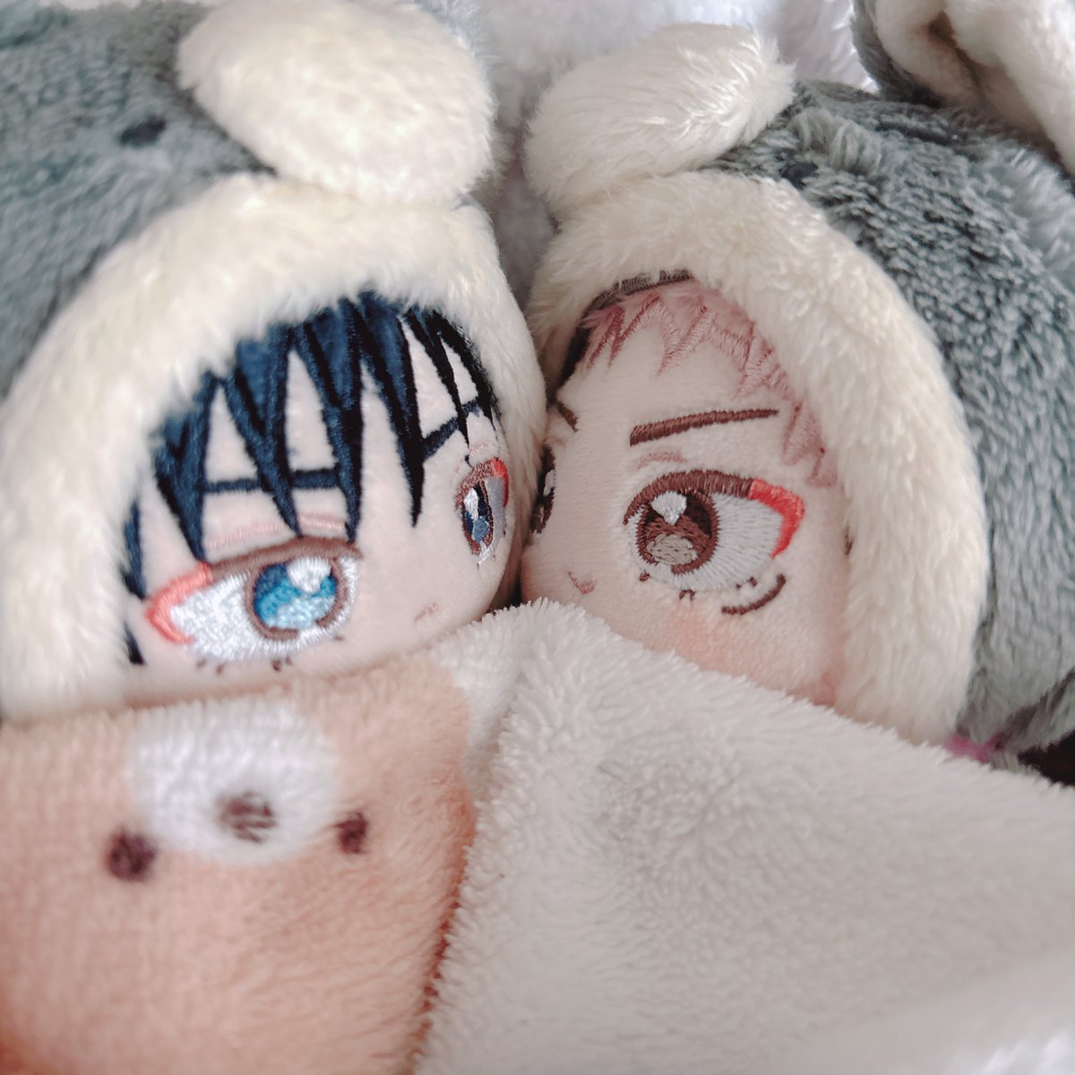 anzcmy's tweet photo. いつぬ🐯ﾁｬﾝ､ずっといつぬ🐺ﾁｬﾝに興味津々でかわい〜ﾜね… https://t.co/onXUaz3hd5