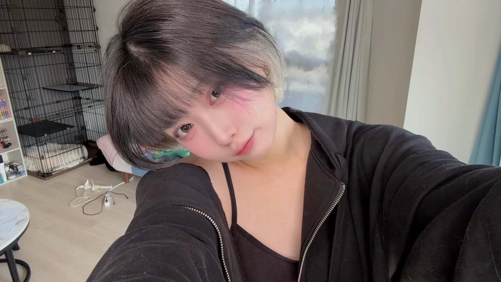 ひより🐈‍⬛🐾 on X: 
