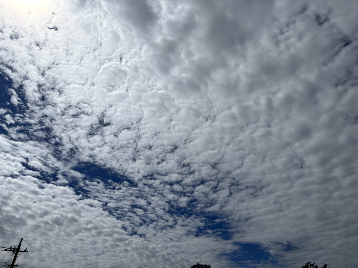 matsue_k's tweet photo. 今日はは良い天気 https://t.co/SwxIUCa5m9