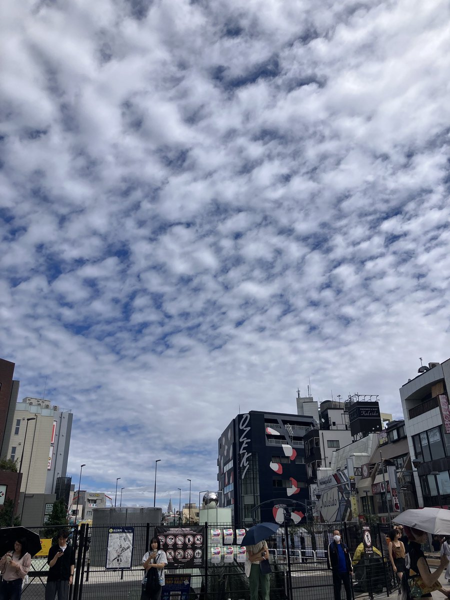 itoomayu's tweet photo. おはようございます！
すごく快晴☀️
久々の太陽こんにちは！

#読むラク語2 4日目！
今日は2公演！13時と15時半です！

本日もよろしくお願いします！
ご来場予定の皆様、晴れていますが、お気をつけてお越しくださいませ♪

まだお席あります！飛び込み大歓迎です！
https://t.co/Qh3F0bHUTK https://t.co/KNC6lciWCf