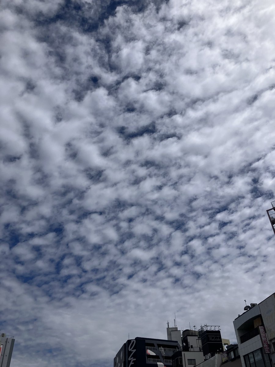 itoomayu's tweet photo. おはようございます！
すごく快晴☀️
久々の太陽こんにちは！

#読むラク語2 4日目！
今日は2公演！13時と15時半です！

本日もよろしくお願いします！
ご来場予定の皆様、晴れていますが、お気をつけてお越しくださいませ♪

まだお席あります！飛び込み大歓迎です！
https://t.co/Qh3F0bHUTK https://t.co/KNC6lciWCf
