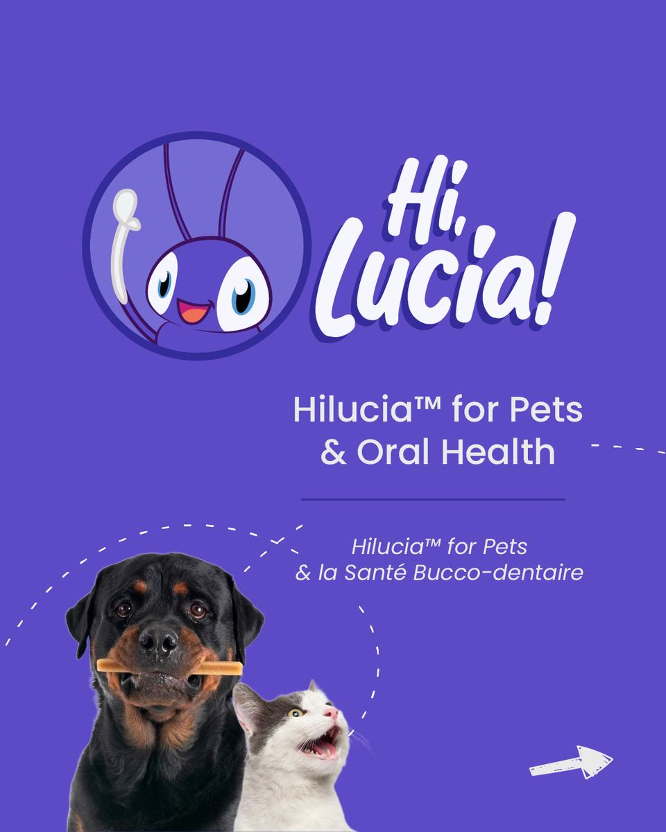 sofiathompsonw5's tweet photo. Guess who’s back? Lucia! In this next “Hi, Lucia! ” series, we’re exploring the benefits of Hilucia™ for Pets—starting with oral health. Our ingredients make kibble and dental treats irresistible while supporting better oral health. https://t.co/JhawyITFkE