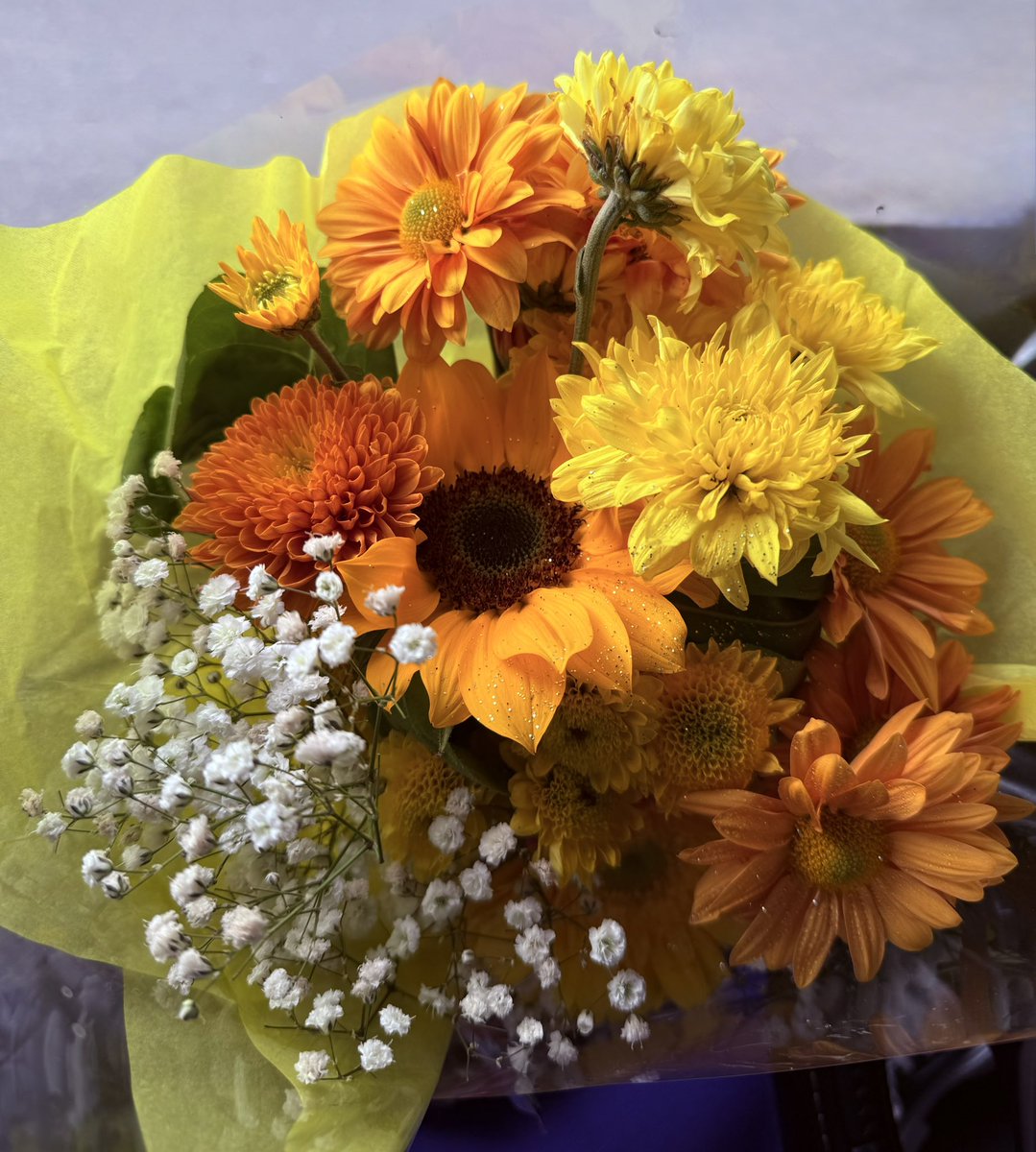 Martinam2217's tweet photo. 🌼Mis bellas flores amarillas 🌼
#floresamarillas https://t.co/vC6hRCIrIt