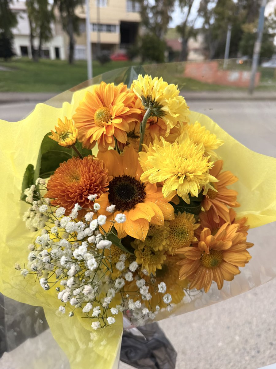 Martinam2217's tweet photo. 🌼Mis bellas flores amarillas 🌼
#floresamarillas https://t.co/vC6hRCIrIt