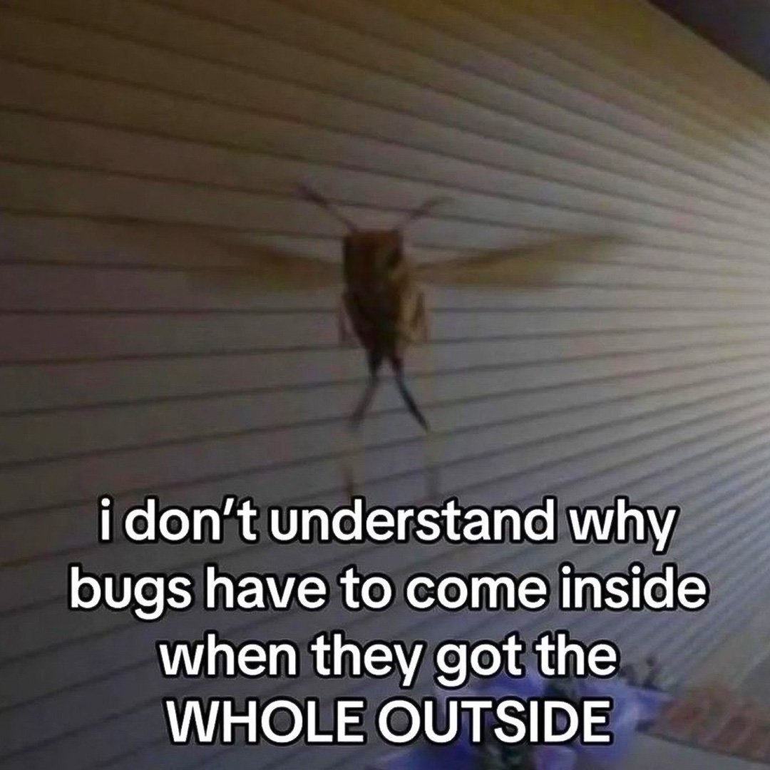 StanimusX's tweet photo. Screw bugs https://t.co/a2KOnPYq9i